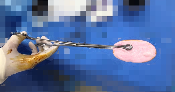 Avatar1764569461775 17645694621291527948998