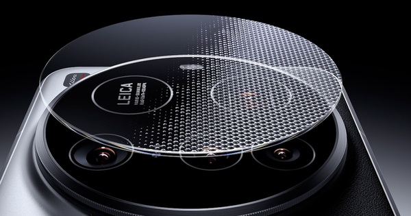 Avatar1764612902029 17646129024021526204271 0 117 756 1327 Crop 1764612941540353652139