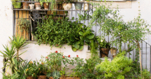 Avatar1764648866130 1764648866517340607411