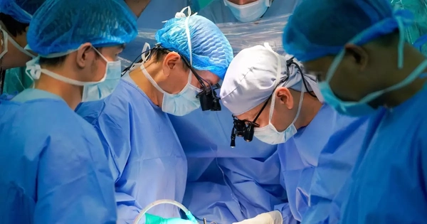 Avatar1764662018430 1764662018936122212687.Webp