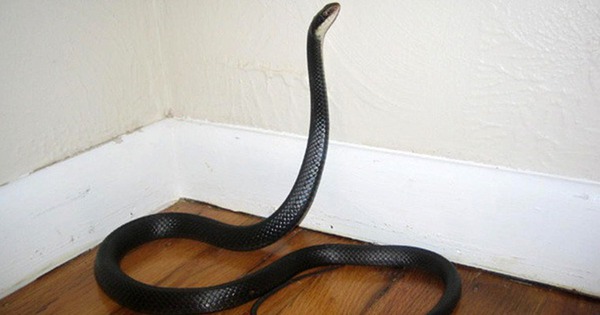 Avatar1764730790244 17647307905021021418648