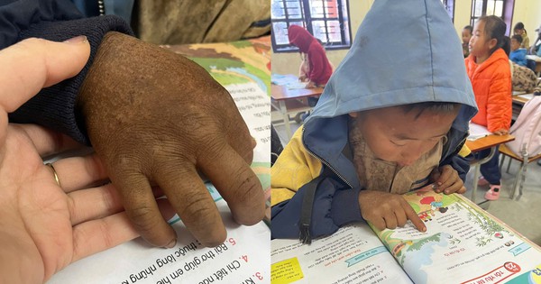 Avatar1764805679623 17648056799651565936342