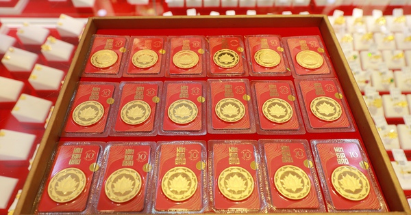 Avatar1764807905870 176480790664242412914