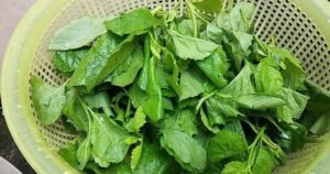 Avatar1764822680332 1764822680843777789448