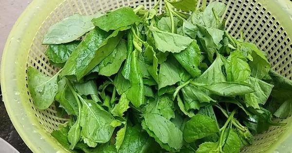 Avatar1764822680332 1764822680843777789448