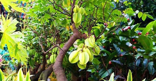 Avatar1764822818099 17648228185581110863670