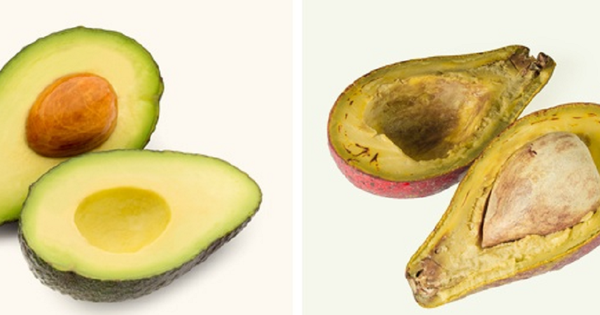 Avatar1764830736020 1764830736567239323098