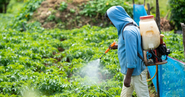 Avatar1764849574414 17648495750952093312439