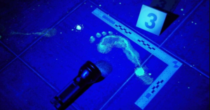 Avatar1764858826533 17648588268492016204041 0 0 392 749 Crop 1764858856839250814918