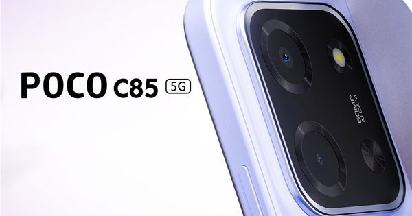 Avatar1764870188177 1764870188536979304518 31 0 781 1200 Crop 17648702505881599219252