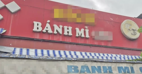 Avatar1764888831956 1764888832799792959017.Webp