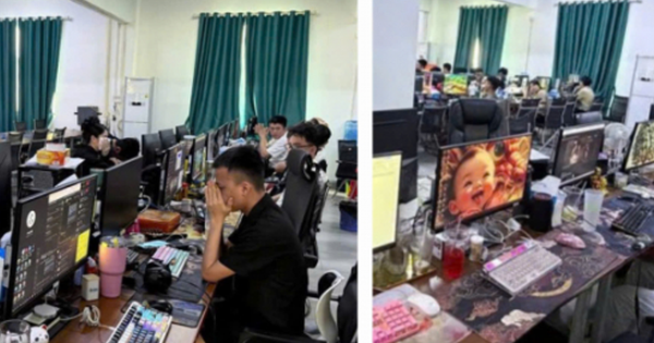 Avatar1764902489555 17649024901111161459436 0 0 557 1063 Crop 17649025341891377922439