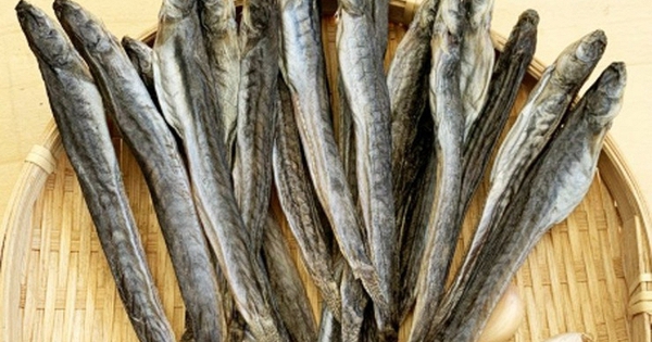 Avatar1764910265146 1764910269403442856272