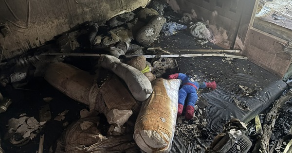 Avatar1764914341141 17649143416061991257648