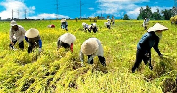 Avatar1764923852019 17649238523691705598985