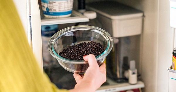 Avatar1764940668206 17649406691301421971999 41 0 470 820 Crop 1764940912180679062992