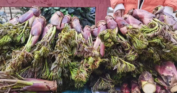 Avatar1764942406803 17649424074982013183435