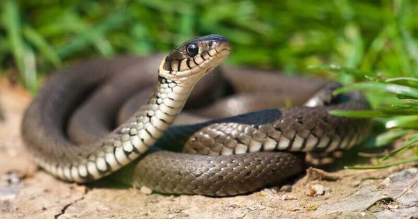 Avatar1764943043216 17649430436411698377904