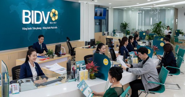 Avatar1764944599643 17649446003401175140284 0 0 314 600 Crop 17649446324991367068022