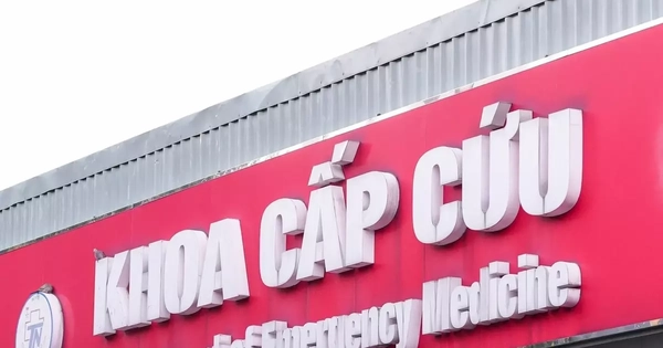 Avatar1764989653817 176498965432363858611.Webp