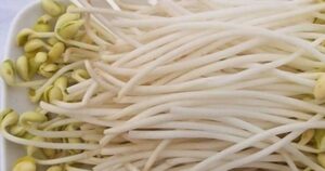 Avatar1765027100458 1765027103185131048202