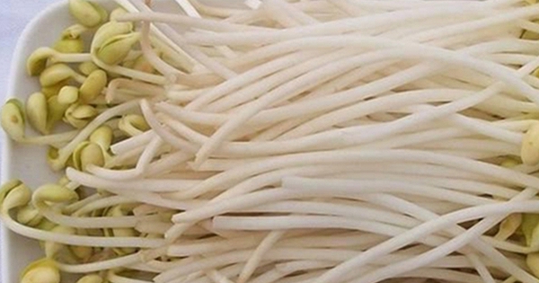 Avatar1765027100458 1765027103185131048202