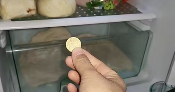 Avatar1765027222640 17650272233011049653094