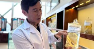 Avatar1765168741978 17651687425321763331998