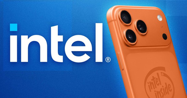 Avatar1765210029977 17652100303961773505687 0 83 900 1523 Crop 1765210070604795812056