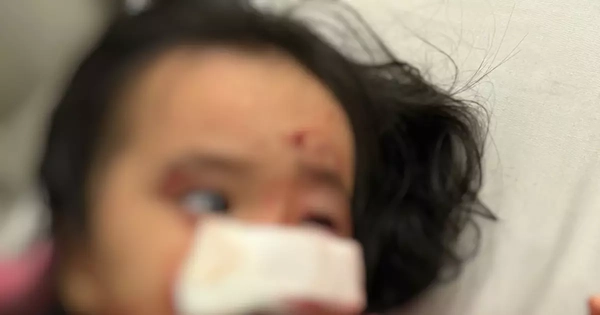 Avatar1765235006197 1765235006465830748941.Webp