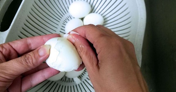 Avatar1765254702667 17652547030731735997090