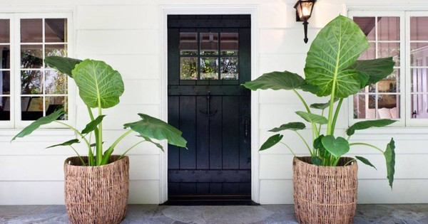 Avatar1765269534536 17652695356141057376862