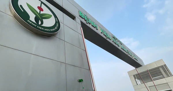 Avatar1765271038030 1765271038422626383854