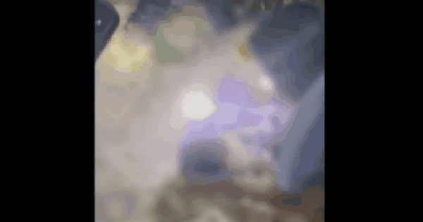 Avatar1765284663089 17652846642221035816311