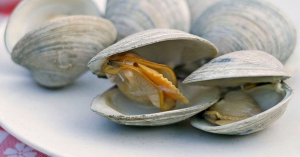 Avatar1765289277793 17652892787151753188383