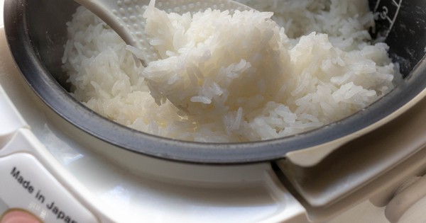 Avatar1765340350598 1765340351750157009770