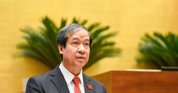 Avatar1765349271939 17653492729301009839194.Webp