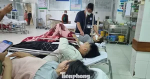 Avatar1765349317713 17653493181322128628141.Webp