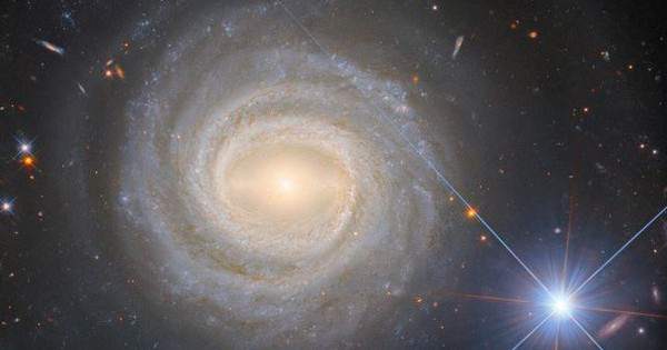 Avatar1765352178038 17653521785611014111187 0 0 314 600 Crop 1765352195169539287870