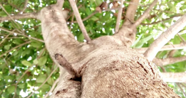 Avatar1765359188399 17653591887861713290779