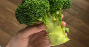 Avatar1765378538992 17653785398381930686959