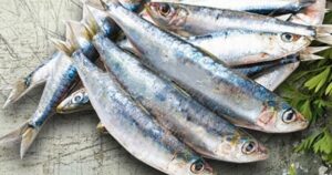 Avatar1765414069919 17654140708171024655980