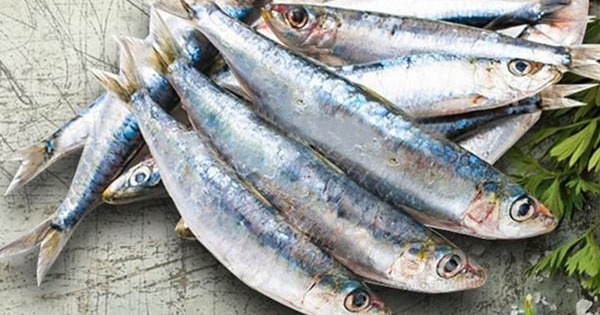 Avatar1765414069919 17654140708171024655980