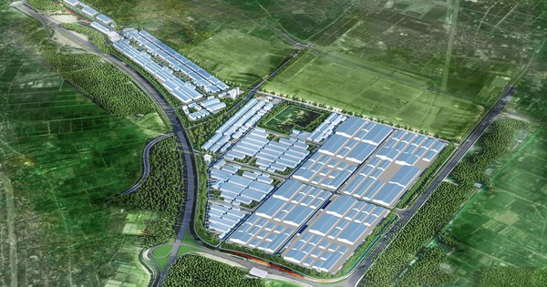 Avatar1765418732096 1765418732825595428165