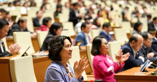 Avatar1765438272393 17654382731062020841551.Webp