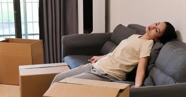 Avatar1765442054926 1765442055184416123954