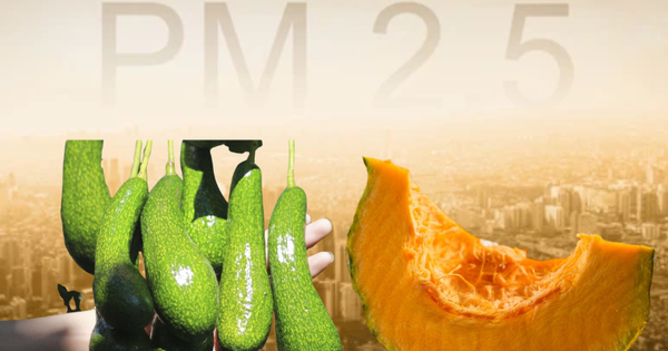 Avatar1765445047052 17654450477101938529656