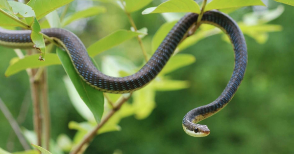 Avatar1765450417556 17654504180011652657053 40 0 636 1138 Crop 176545318877766135860