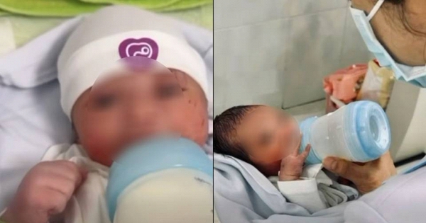 Avatar1765504986389 1765504986858138654375