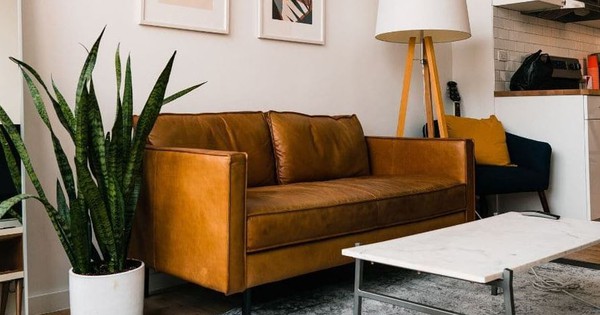 Avatar1765508995551 1765508996481227691886